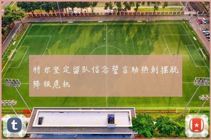 特尔坚定留队信念誓言助热刺摆脱降级危机